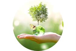 My naturopathe Fadoua Chlieh Azaroual, Gaillac - Horaires d'ouverture