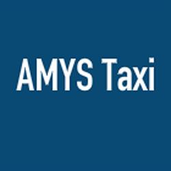 AMYS Taxi PMR, Joué-lès-Tours - Horaires d'ouverture