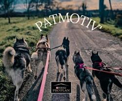 Pat motiv', Saint-Lattier - Horaires d'ouverture