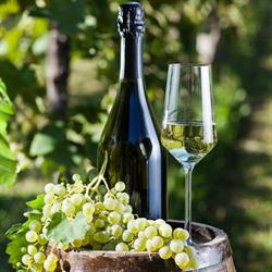 We Love Bubbles, Ay - Horaires d'ouverture