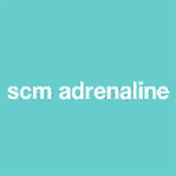SCM Adrenaline, Pluvigner - Horaires d'ouverture