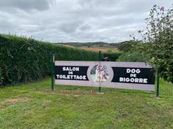 Dog De Bigorre, Marseillan - Horaires d'ouverture