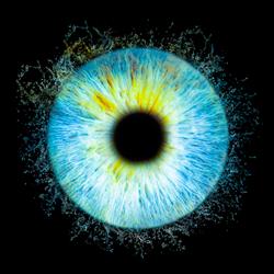 Iris Art Photographie, Clermont-Ferrand - Horaires d'ouverture