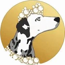Le Salon Ella - Toilettage canin, Beaurains - Horaires d'ouverture