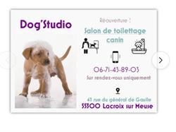 Dog'Studio, Lacroix-sur-Meuse - Horaires d'ouverture