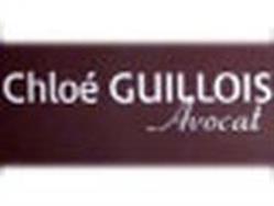 SELARL GUILLOIS CHLOE, Quimperlé - Horaires d'ouverture