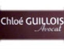 SELARL GUILLOIS CHLOE, Quimperlé - Horaires d'ouverture