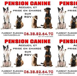 Pension Canine Florent Plomion, Iwuy - Horaires d'ouverture