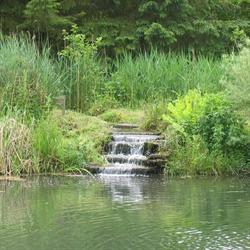 Aquatic Concept Paysages, Thouars - Horaires d'ouverture