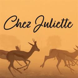 Chez Juliette - TheVin & Co, Périgueux - Horaires d'ouverture
