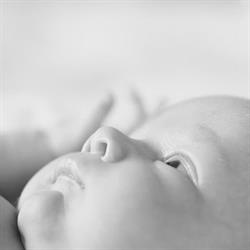AnneMariePhotographie - Photographe grossesse et famille, La Bazoge - Horaires d'ouverture