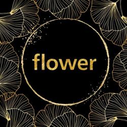 Flower, Valenciennes - Horaires d'ouverture