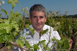 Domaine Charles Pain, Panzoult - Horaires d'ouverture