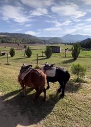 Domaine Equestre Des Pialoux, Montvendre - Horaires d'ouverture