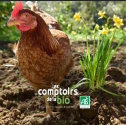 LES COMPTOIRS DE LA BIO CHABLIS, Chablis - Horaires d'ouverture