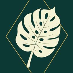 Un Brin d'Aventure- Fleuriste Lille, - Horaires d'ouverture