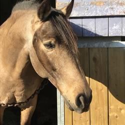 PONEY CLUB D AVIGNON, Avignon - Horaires d'ouverture