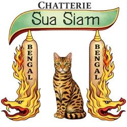 Elevage Bengal Chatterie Sua Siam, Cuers - Horaires d'ouverture