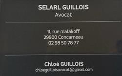 SELARL GUILLOIS CHLOE, Concarneau - Horaires d'ouverture