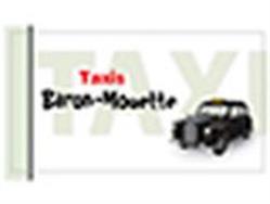 BARON MOUETTE TAXIS, Châteauneuf-en-Thymerais - Horaires d'ouverture
