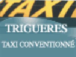 Taxi Champion, Triguères - Horaires d'ouverture