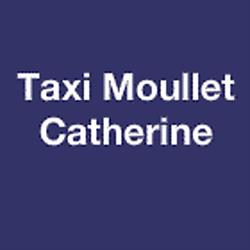 Taxi Moullet Catherine, Saint-Jean-de-Losne - Horaires d'ouverture