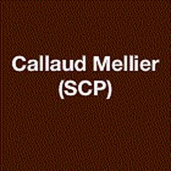 SCP Callaud Mellier Kurzawa, Saintes - Horaires d'ouverture