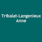 Tribalat-langénieux Anne, Montluçon - Horaires d'ouverture