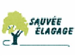 Sauvée Elagage, Saint-Méloir-des-Ondes - Horaires d'ouverture
