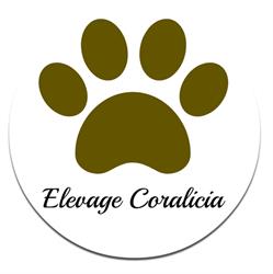 Pension Canine Coralicia, Saint-Thurien - Horaires d'ouverture