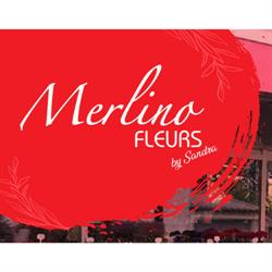 Merlino Fleurs By Sandra EURL, Golbey - Horaires d'ouverture