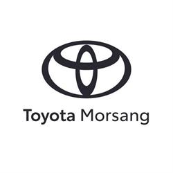 Toyota Morsang Automobiles - Car Lovers, Morsang-sur-Orge - Horaires d'ouverture