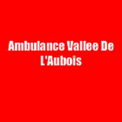 Ambulance Vallee De L'Aubois, Nérondes - Horaires d'ouverture