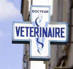 Ait Mesbah Amine, Fenouillet - Horaires d'ouverture