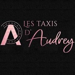 Les Taxis d'Audrey, Saint-Gilles - Horaires d'ouverture