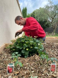 Hadrien Multiservices, Gardanne - Horaires d'ouverture