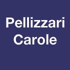 Pellizzari Carole, Sarreguemines - Horaires d'ouverture