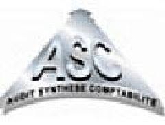 Audit Synthèse Comptabilité, Callian - Horaires d'ouverture
