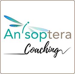 Anisoptera Coaching, Limoges - Horaires d'ouverture