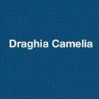 Draghia Camelia, Déols - Horaires d'ouverture