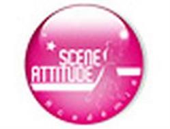 Scene Attitude Academie, Villeurbanne - Horaires d'ouverture
