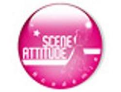 Scene Attitude Academie, Villeurbanne - Horaires d'ouverture