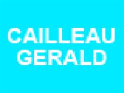 Cailleau Gerald SARL, Mauléon - Horaires d'ouverture