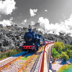 Train à Vapeur des Cévennes Compagnie Internationale des Trains Express Vapeur, Anduze - Horaires d'ouverture
