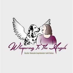 Whispering to the Angels, Trans-en-Provence - Horaires d'ouverture