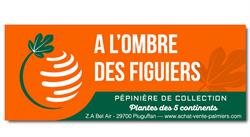 A L'ombre des Figuiers, Quimper - Horaires d'ouverture