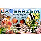 L'Aquarium De Steph, Saint-Priest - Horaires d'ouverture