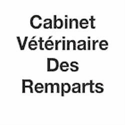 Cabinet Vétérinaire Des Remparts, Carignan - Horaires d'ouverture