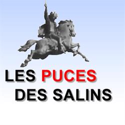 Puces Des Salins, Clermont-Ferrand - Horaires d'ouverture