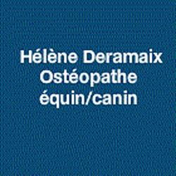 Hélène Deramaix Ostéopathe Equincanin, Salleboeuf - Horaires d'ouverture